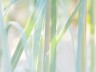 gartenlicht_9064