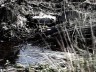 eichholz-maar_7456