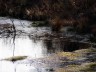 eichholz-maar_7509