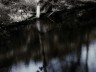 eichholz-maar_7540