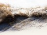 spiekeroog_7123
